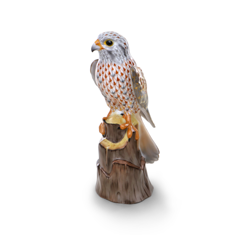 American kestrel