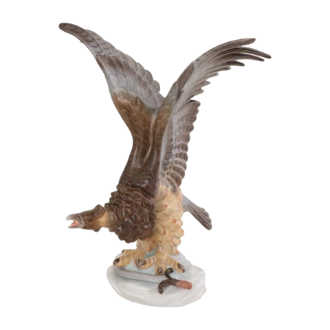 Eagle, looking to the right