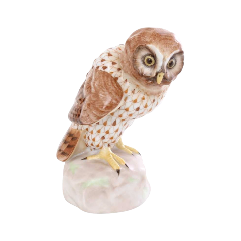 Owl, small