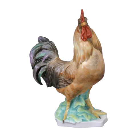 Rooster, standing