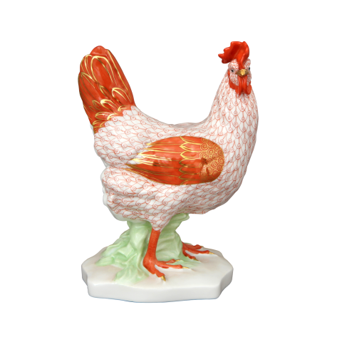 Hen, standing