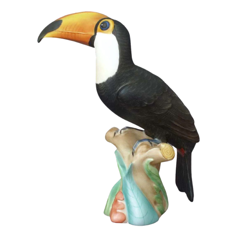 Toucan