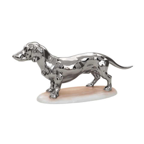 Dachshund, short-haired