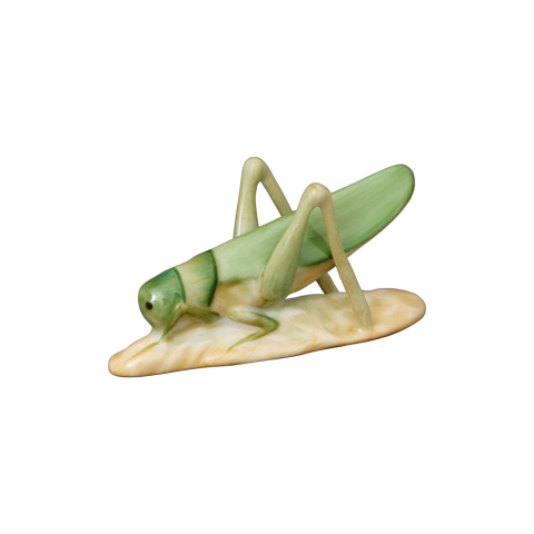 Grasshopper