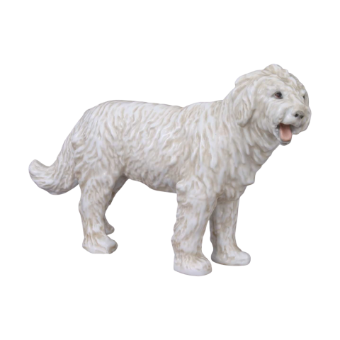 Komondor