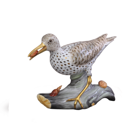 Spotted sandpiper on driftwood